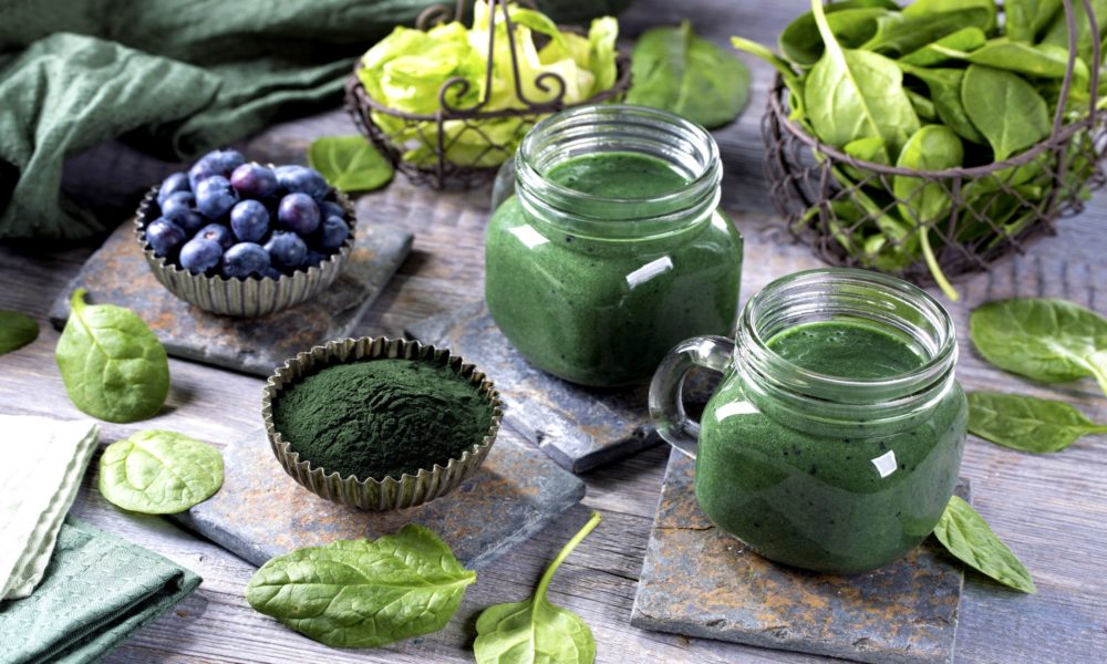 SPIRULINA řasa Spirulina